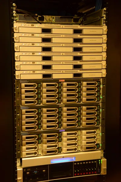 DSC_1342 (Large).JPG